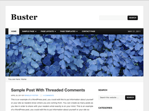 Buster Child Theme WordPress theme, websites list used Buster Child Theme theme Buster Child Theme theme websites examples
