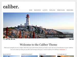 caliber theme websites examples