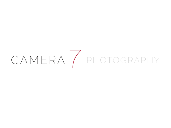 camera7 theme websites examples