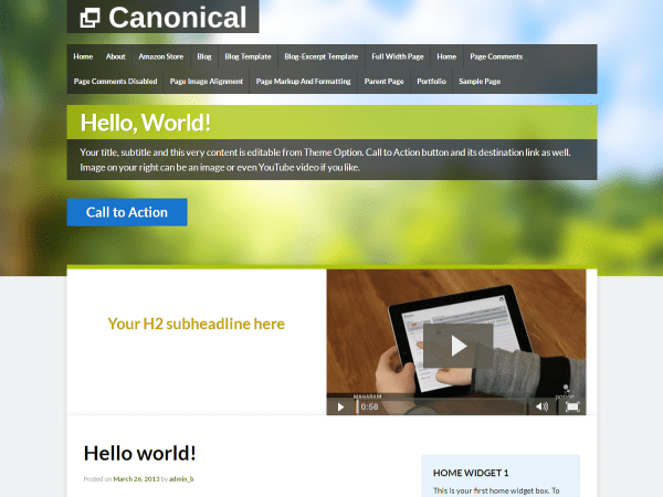Canonical theme websites examples