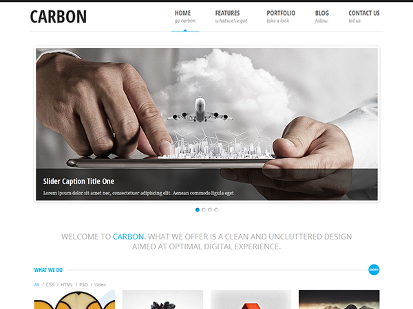 carbon-wp-light theme websites examples