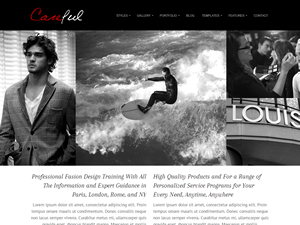 careful WordPress theme, websites list used careful theme careful theme websites examples
