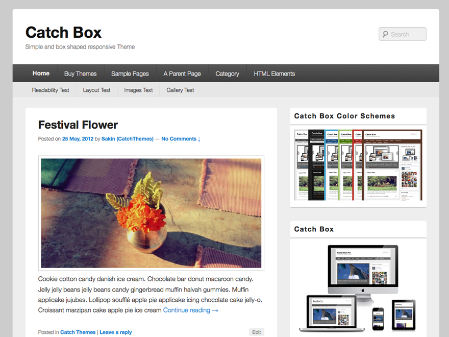 Catch Box theme websites examples
