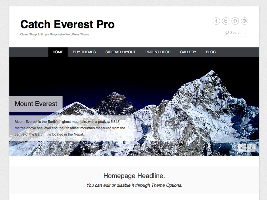 Catch Everest Pro website example screenshot