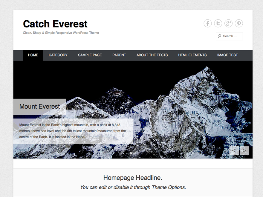 Catch Everest website example screenshot