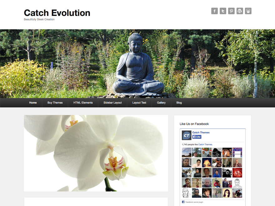 Catch Evolution website example screenshot