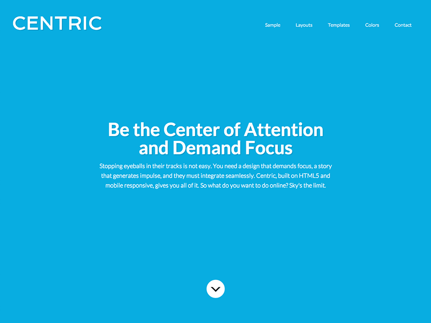 Centric Pro theme websites examples
