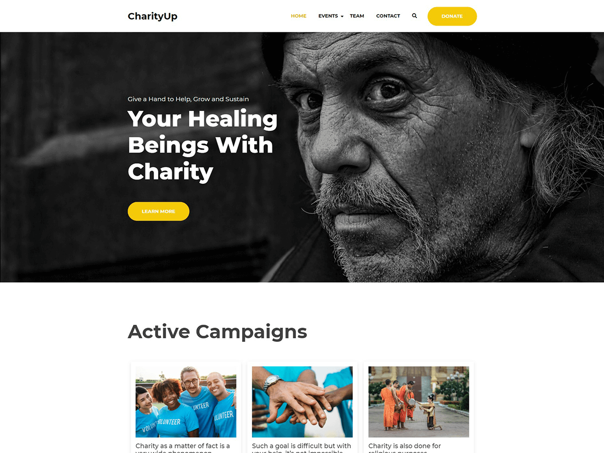 charityup theme websites examples