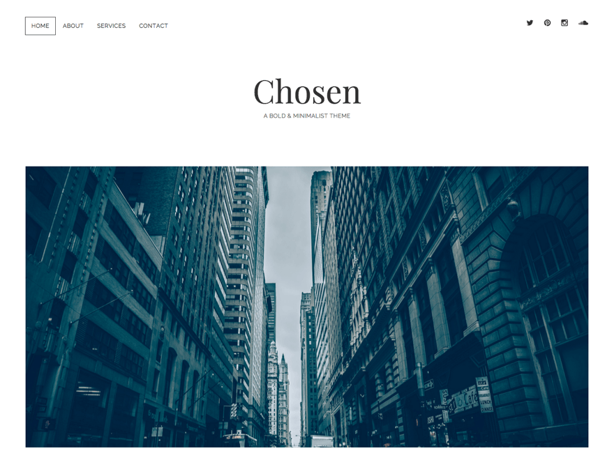 Chosen website example screenshot