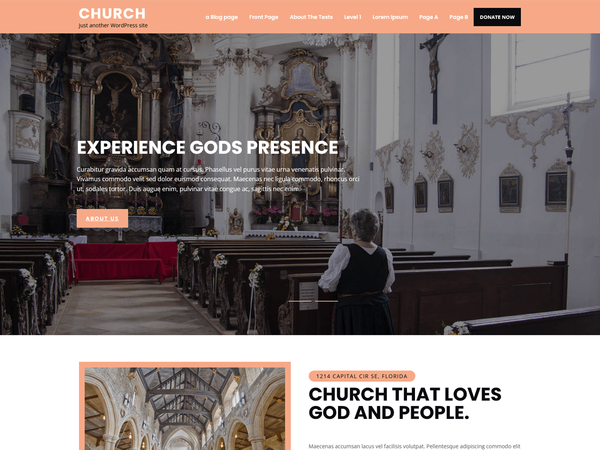 church-lite theme websites examples