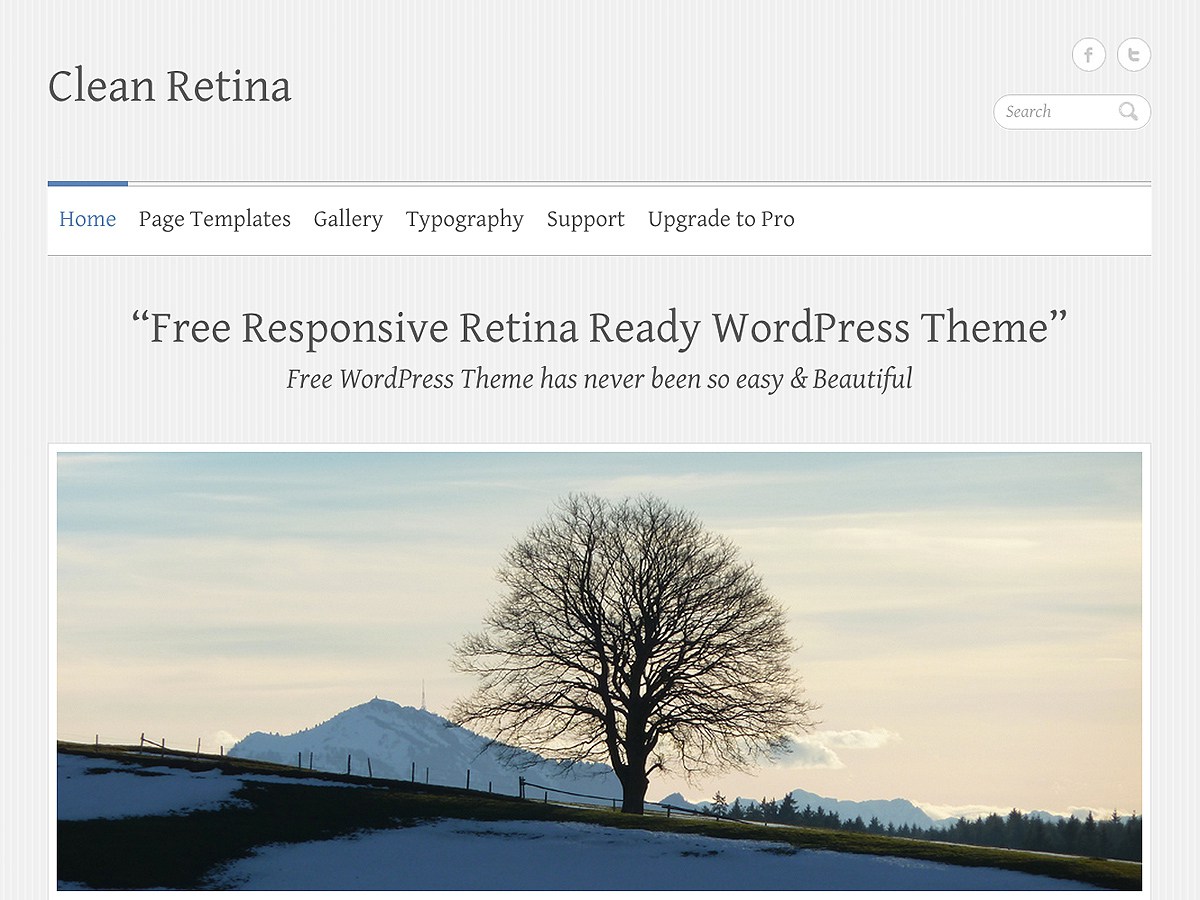 Clean Retina website example screenshot