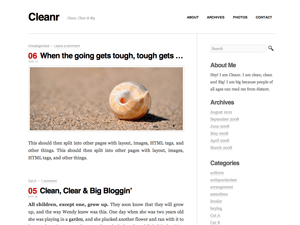 Cleanr website example screenshot