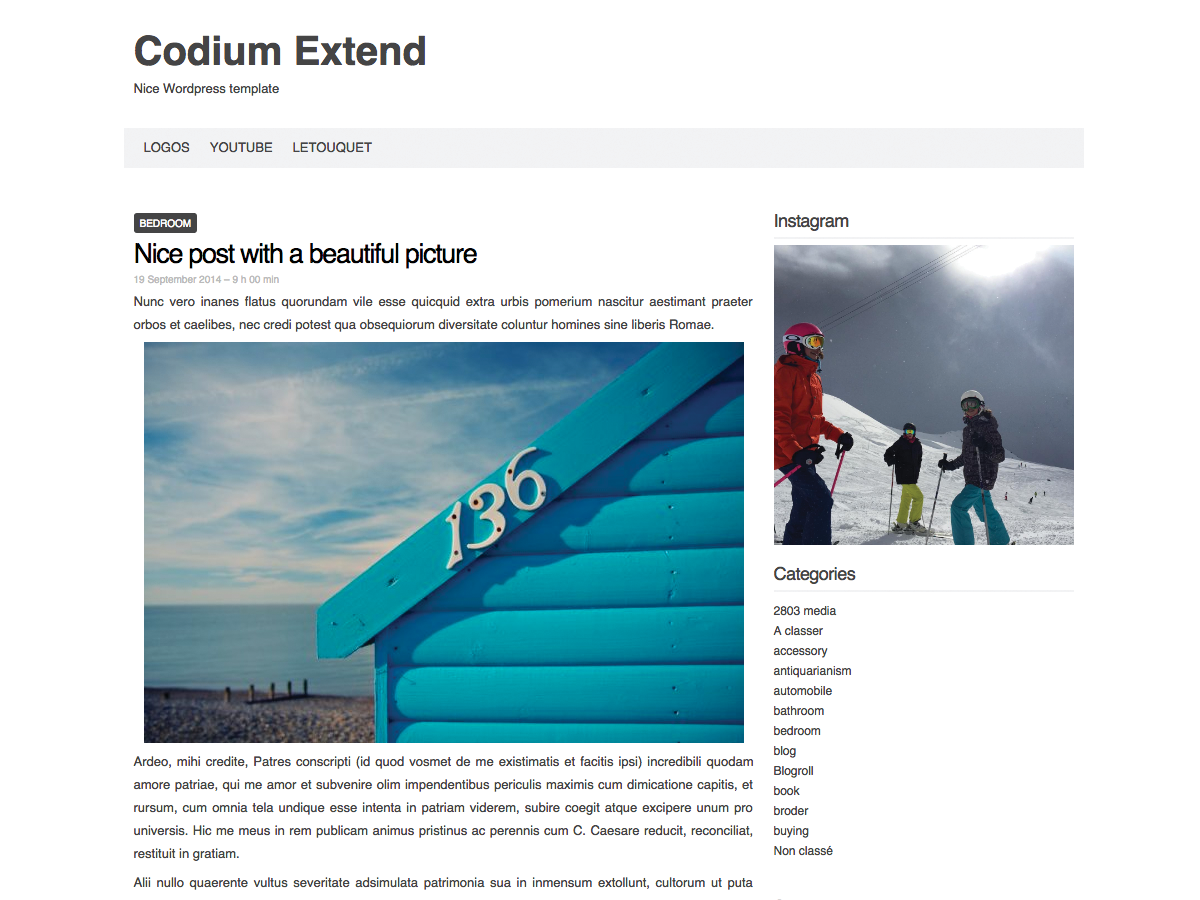 Codium Extend website example screenshot