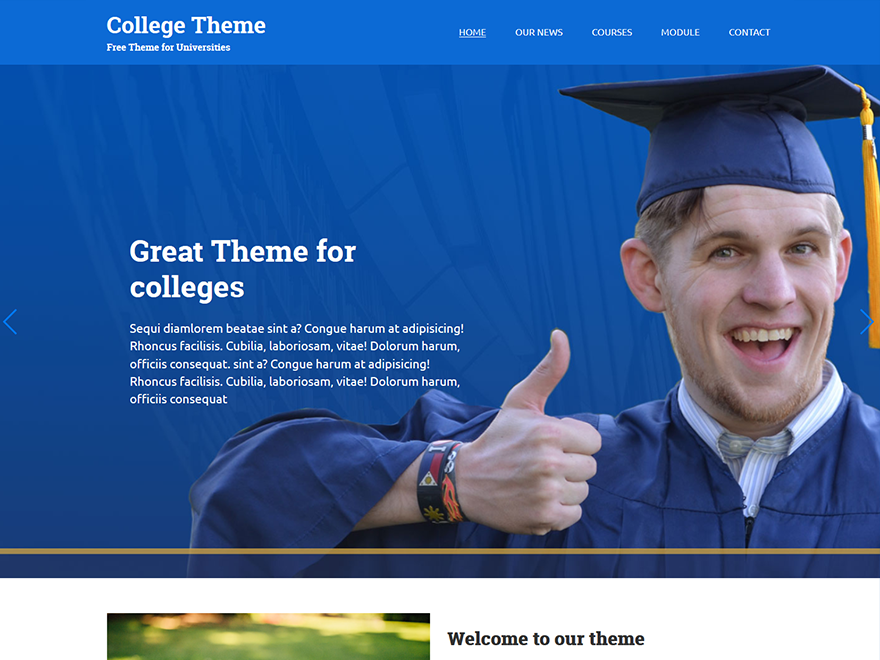 College theme websites examples