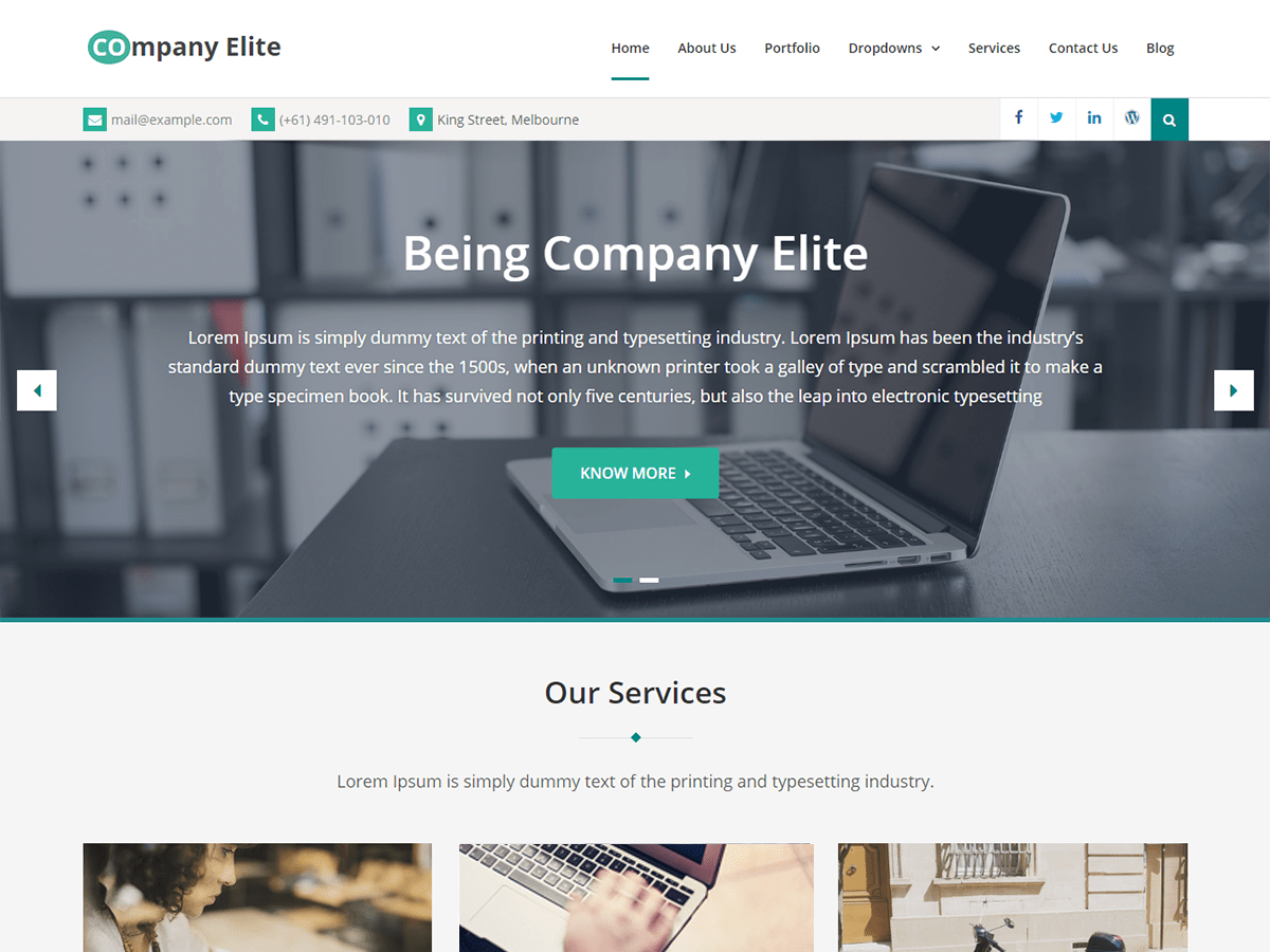 company-elite theme websites examples