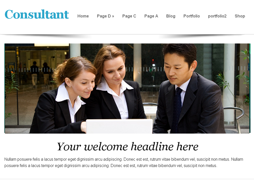 consultant website example screenshot