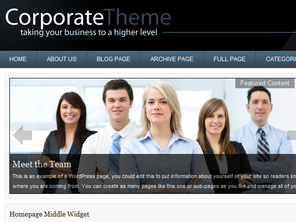 corporate-blue theme websites examples