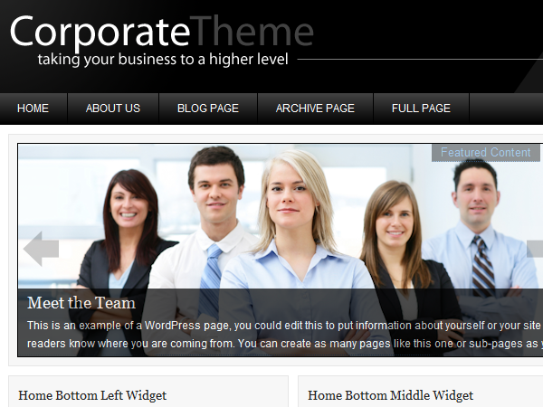 corporate_10 theme websites examples