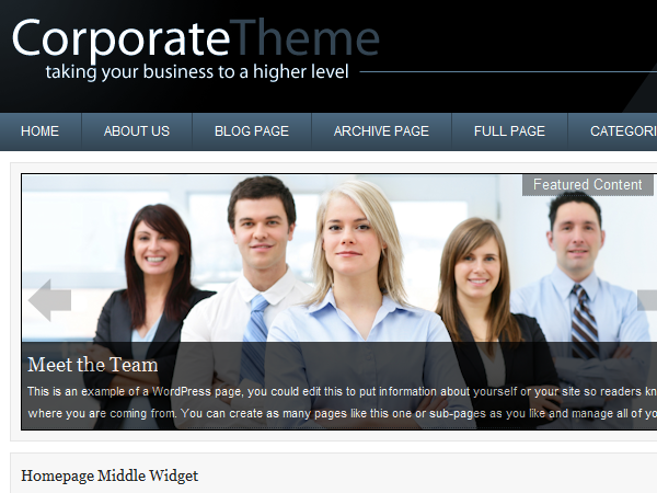 corporate_blue_10 theme websites examples
