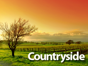 countryside theme websites examples