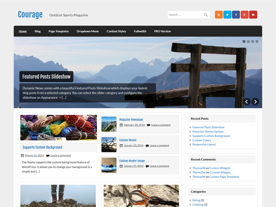 Courage website example screenshot