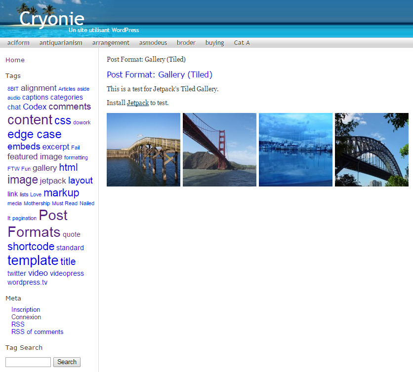 Cryonie theme websites examples