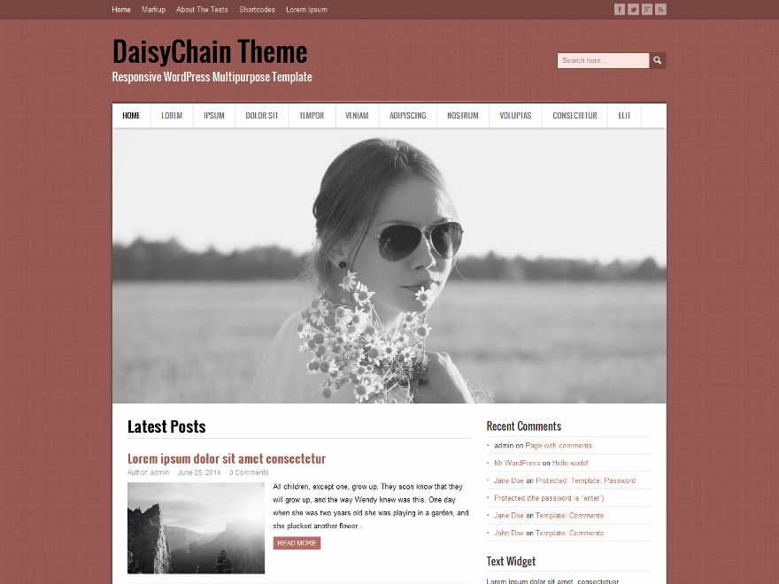 DaisyChain website example screenshot