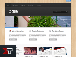 Derby Child Theme theme websites examples