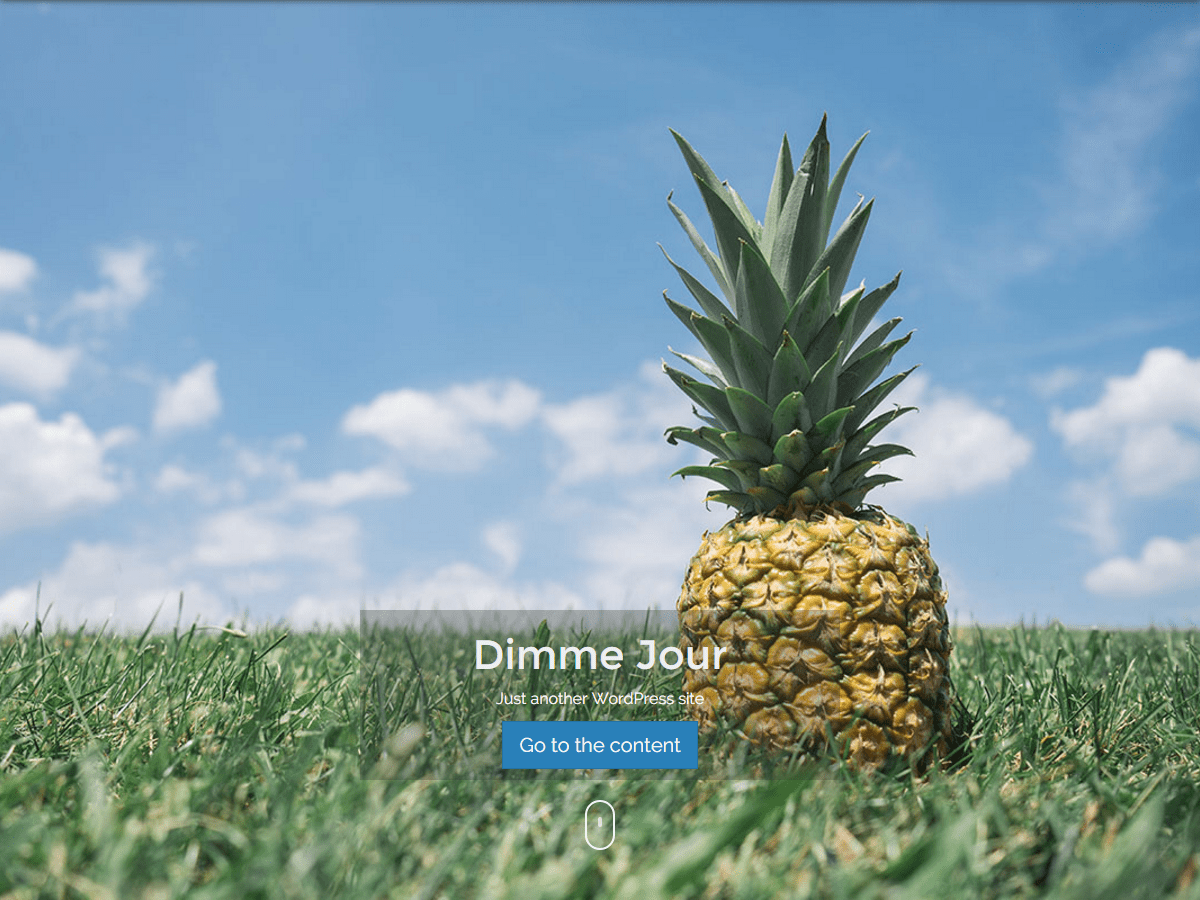 dimme-jour theme websites examples