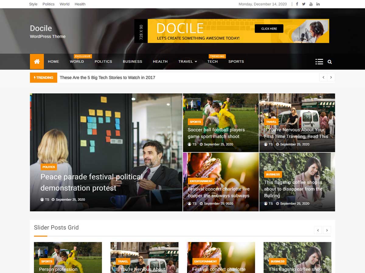 Docile website example screenshot