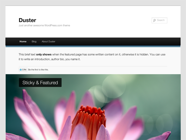 Duster website example screenshot