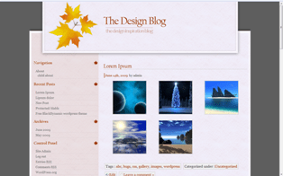 Dynamic Dream theme websites examples