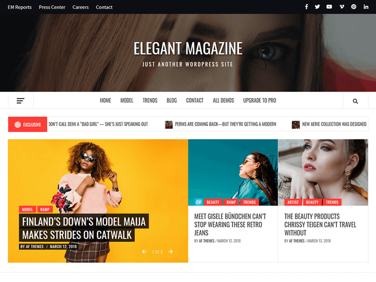 Elegant Magazine website example screenshot