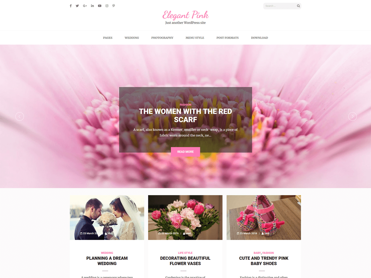Elegant Pink theme websites examples