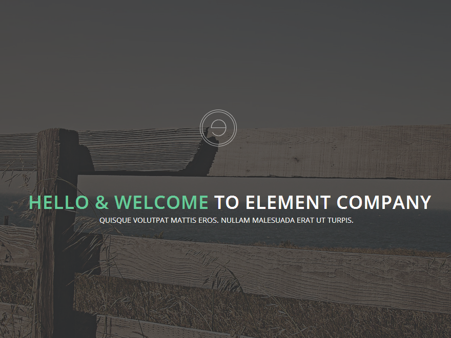 Element theme websites examples