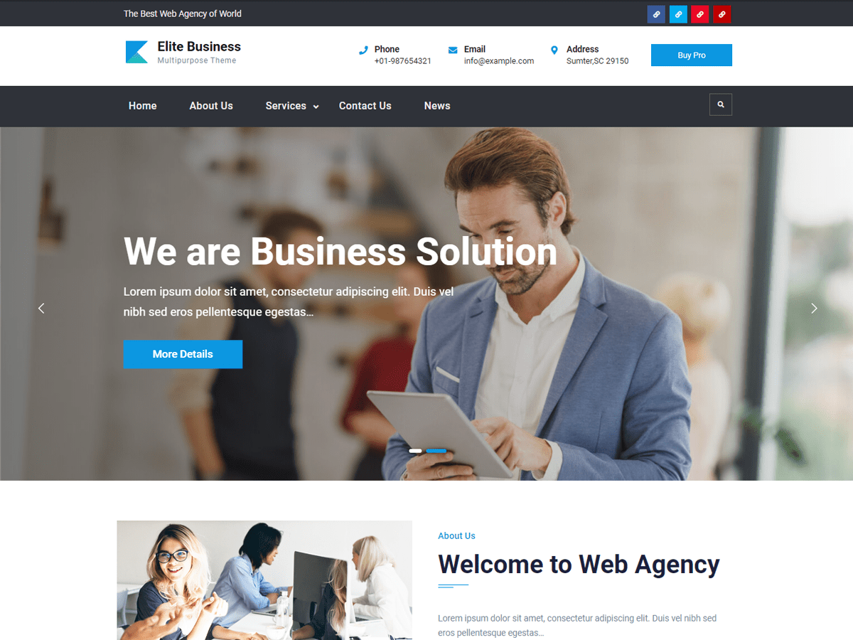 elite-business theme websites examples