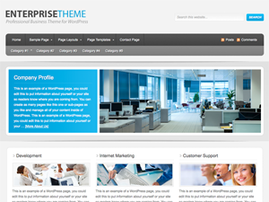 Enterprise theme websites examples