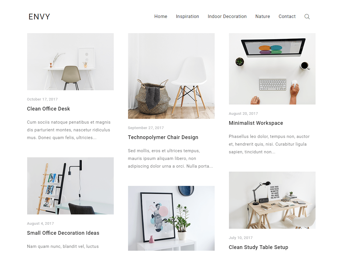 envy-blog theme websites examples