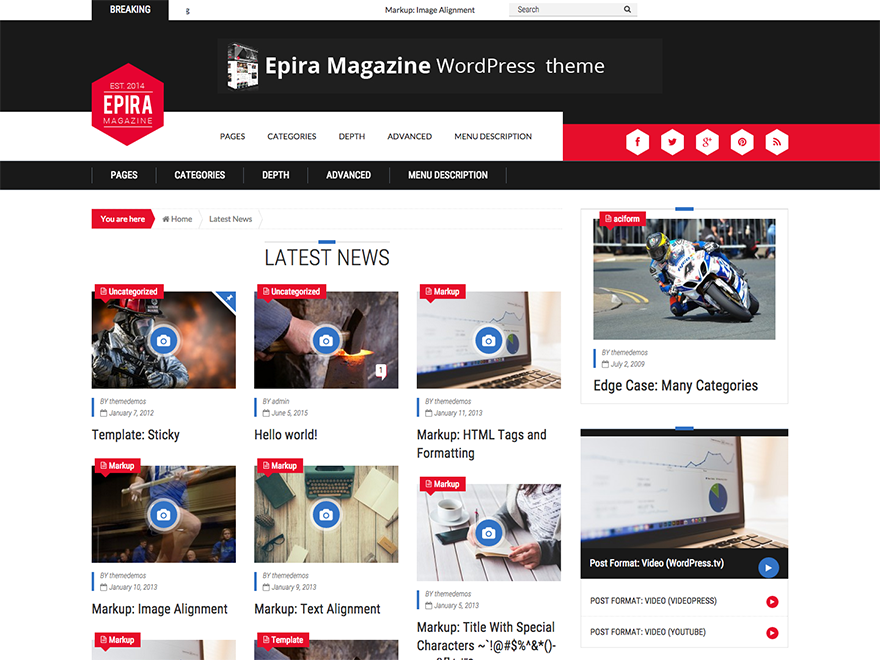 Epira Lite theme websites examples