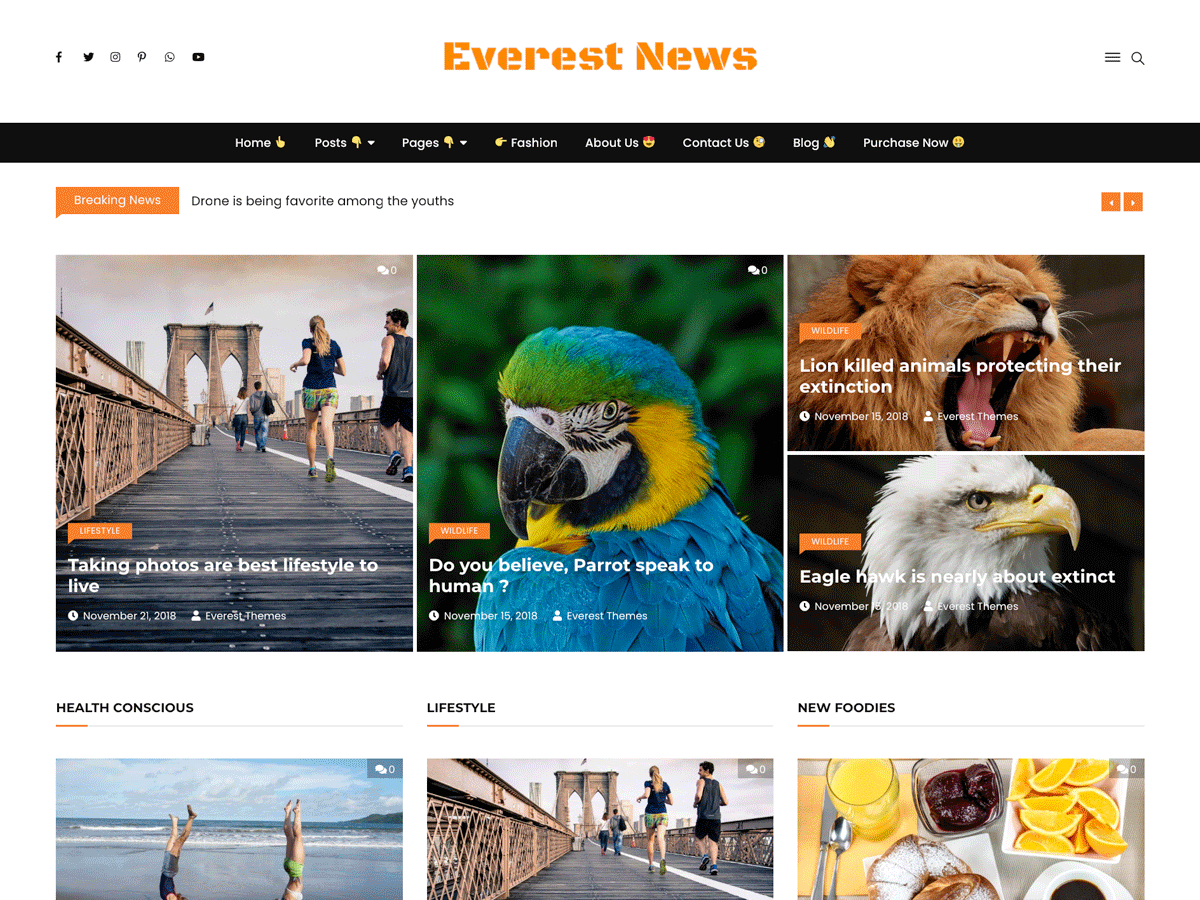 Everest News Lite theme websites examples