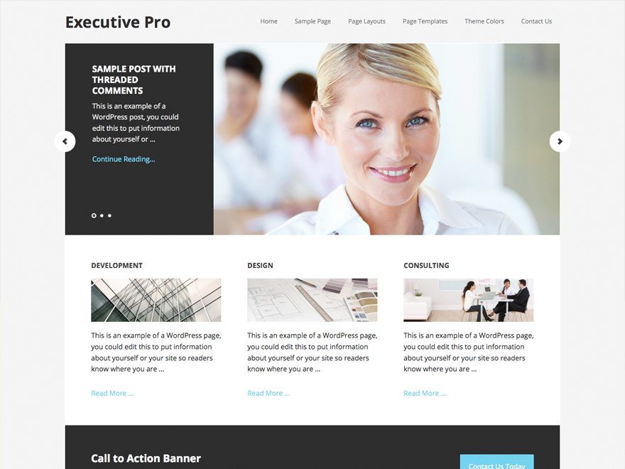 executive-pro-3 theme websites examples