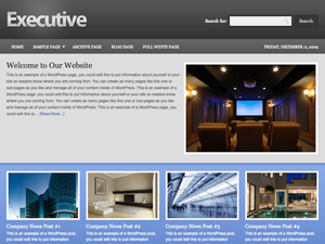 Executive website example screenshot
