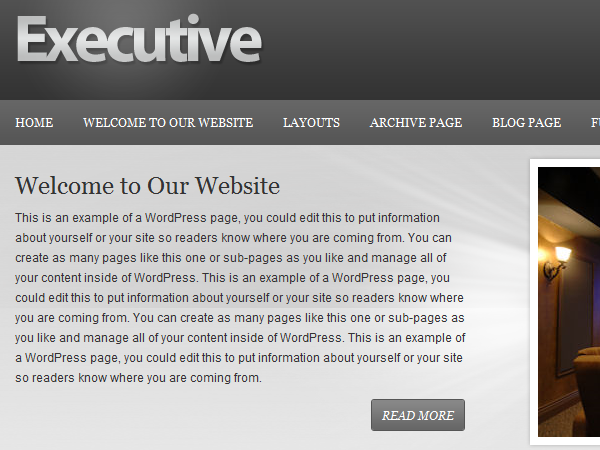 Executive 1.0 website example screenshot