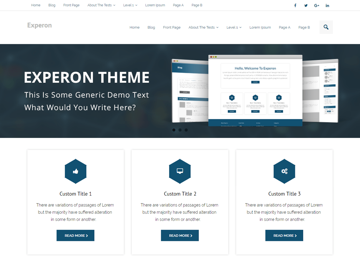 experon-business theme websites examples