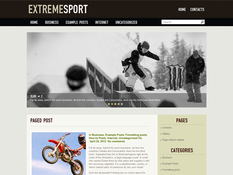 extremesport theme websites examples