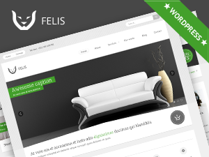 Felis theme websites examples