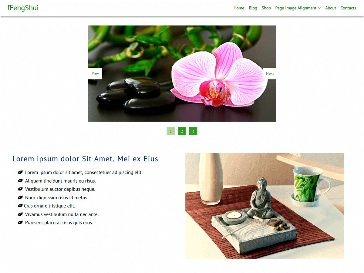 fFengShui website example screenshot