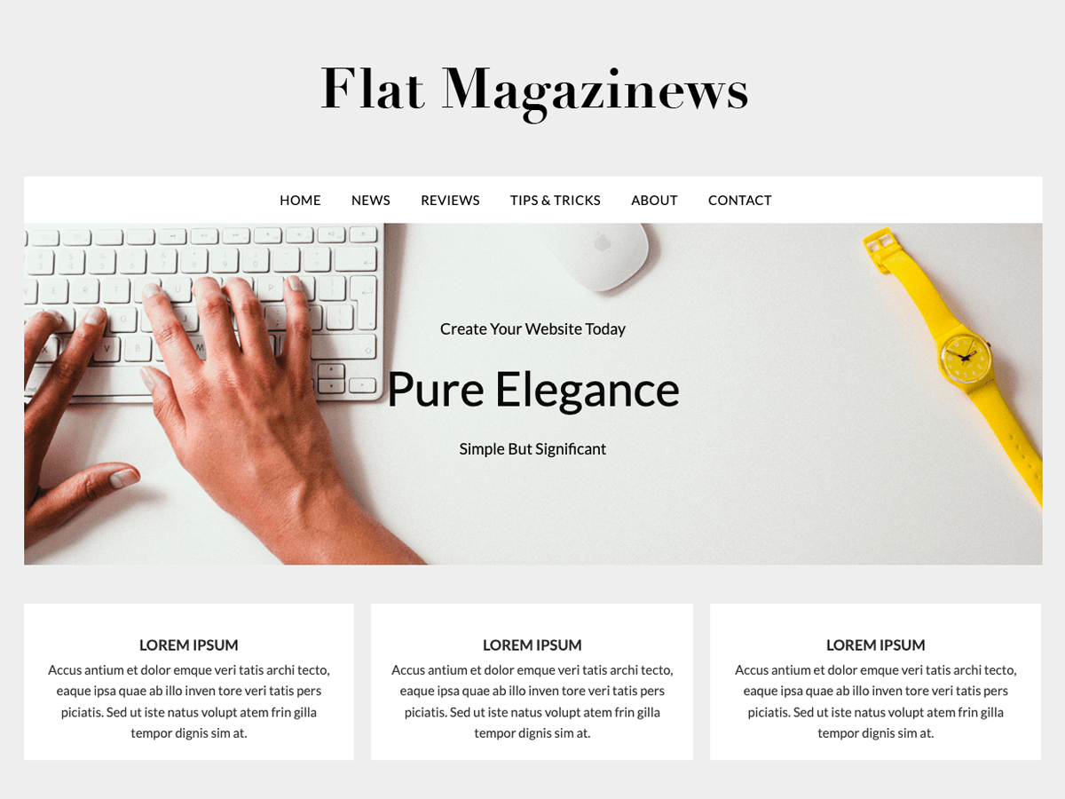 FlatMagazinews website example screenshot
