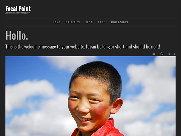 focal-point theme websites examples