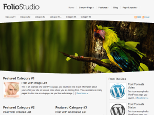 foliostudio-catalyst WordPress theme, websites list used foliostudio-catalyst theme foliostudio-catalyst theme websites examples